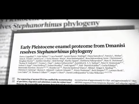 დმანსიში აღმოჩენილი ნამარხიდან გამოყოფილი დნმ მსოფლიოში უძველესია